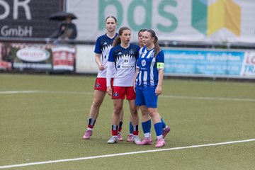 Bild 355 - wBJ Hamburger SV - FC Suederelbe : Ergebnis: 9:0